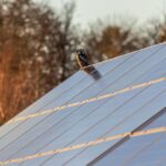What is a Solar Battery?