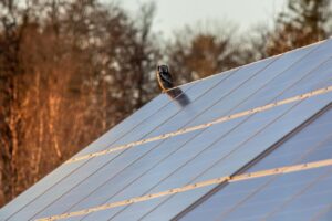 What is a Solar Battery?