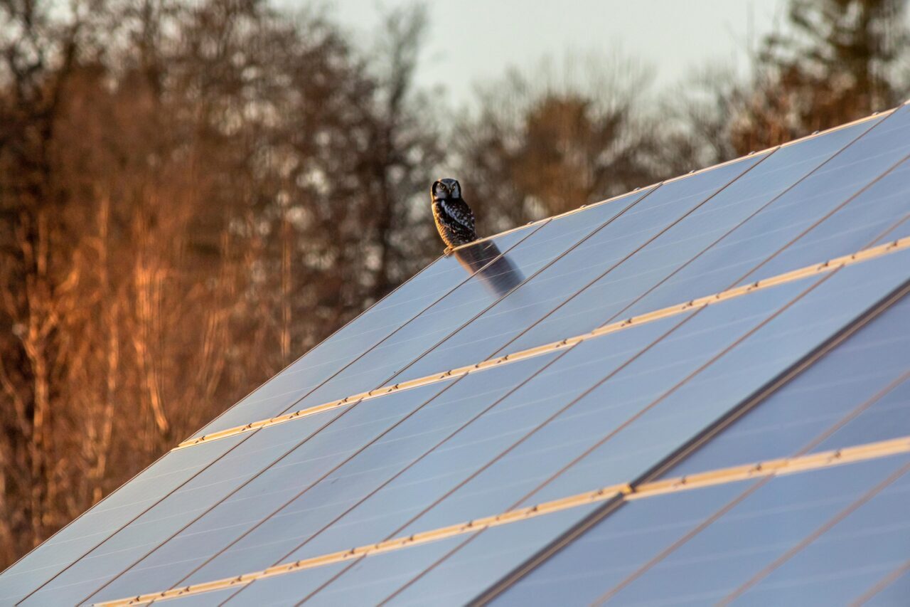 What is a Solar Battery?